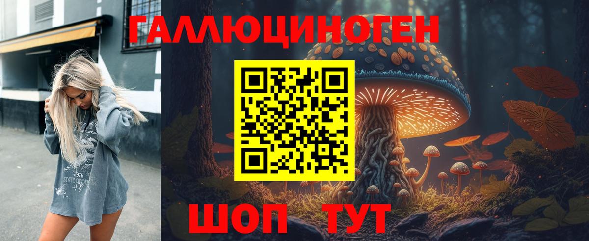 Камышлов  Галлюциногенные грибы мухоморы  Вход с VPN  Галлюциногенные грибы Cubensis 